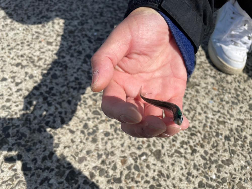 長崎離島最終日