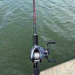 GW最後のチニング!