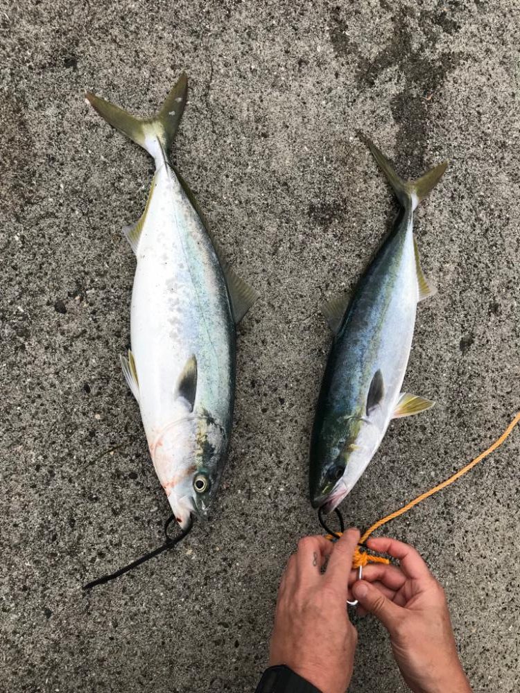 ショアジギング