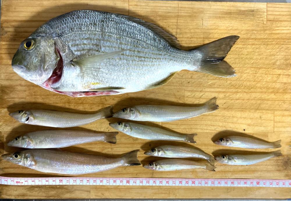 最後に少し報われる