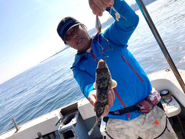 室津の夏フグ調査団