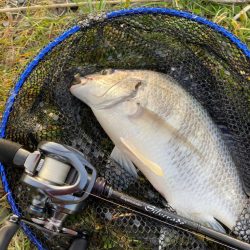 淀川ブリームゲーム