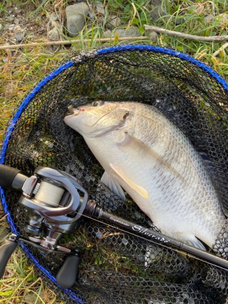 淀川ブリームゲーム