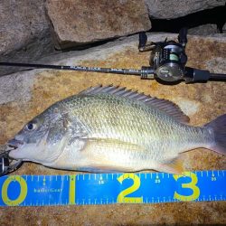 淀川ブリームゲーム