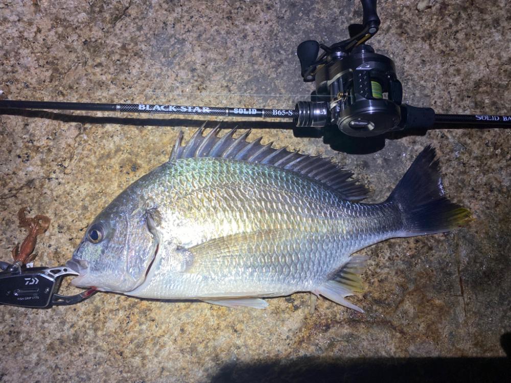 淀川ブリームゲーム