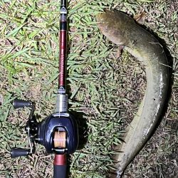 このタックルではじめて釣れたのは？