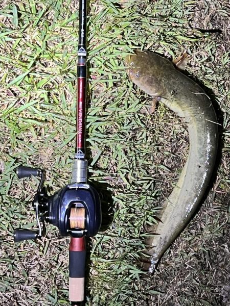 このタックルではじめて釣れたのは？