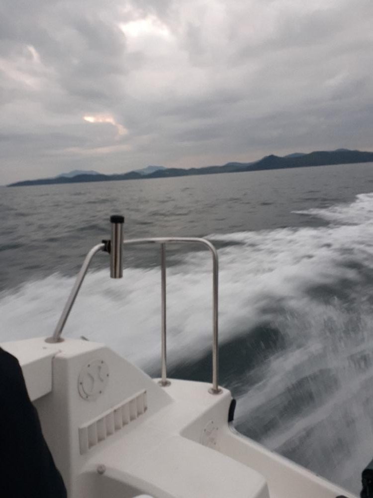 ケンサキイカ🦑