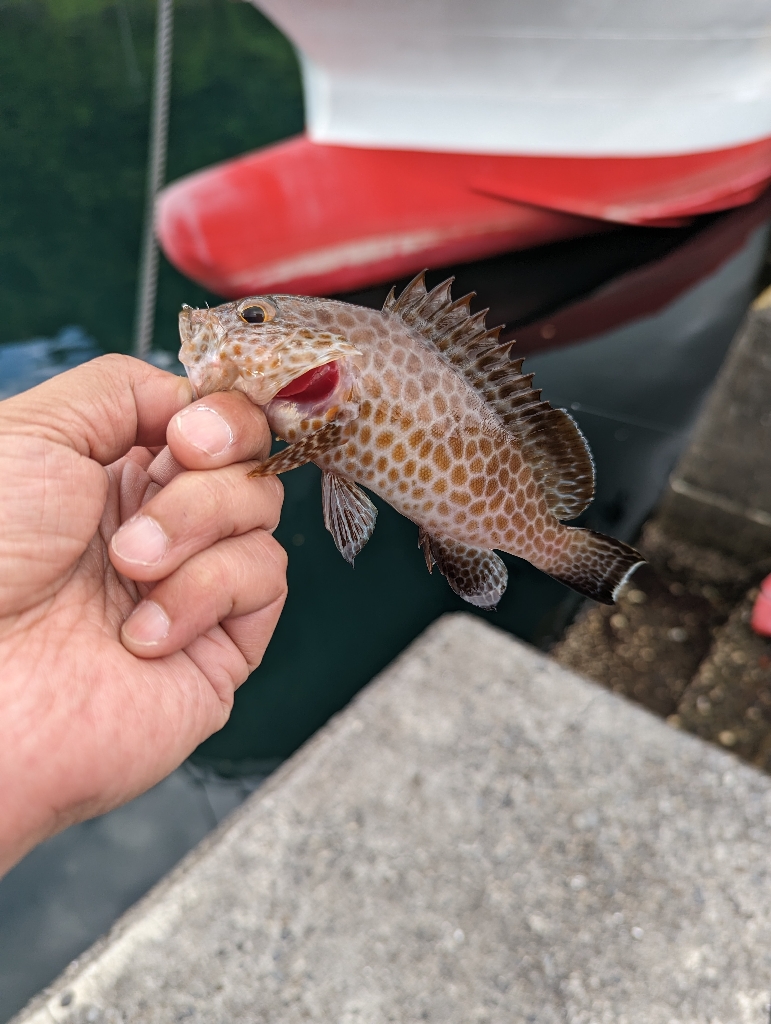 陸っぱり釣行記