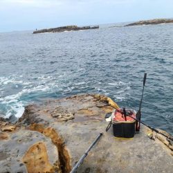 和歌山市江(吉丸渡船)でグレ釣り