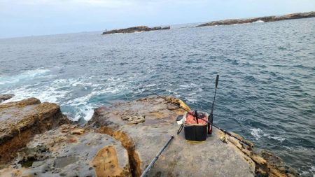 和歌山市江(吉丸渡船)でグレ釣り