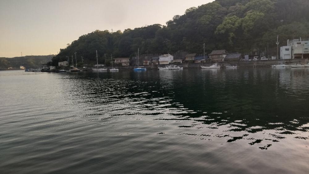 アジ探し@下津周辺