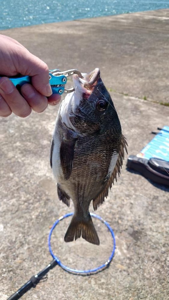 遠矢浮き✨初釣行🙋今期第2戦💦
