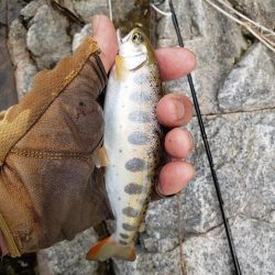 こんなとこに居る?