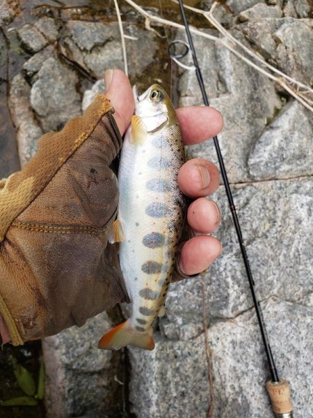 こんなとこに居る?