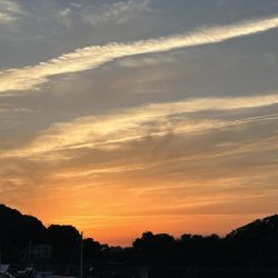 久々にガッシー