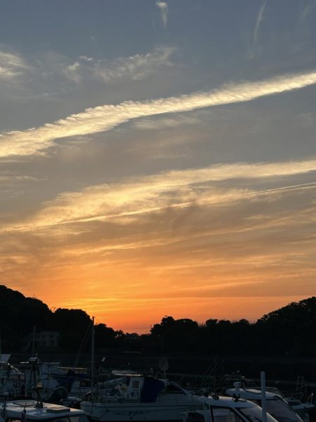 久々にガッシー