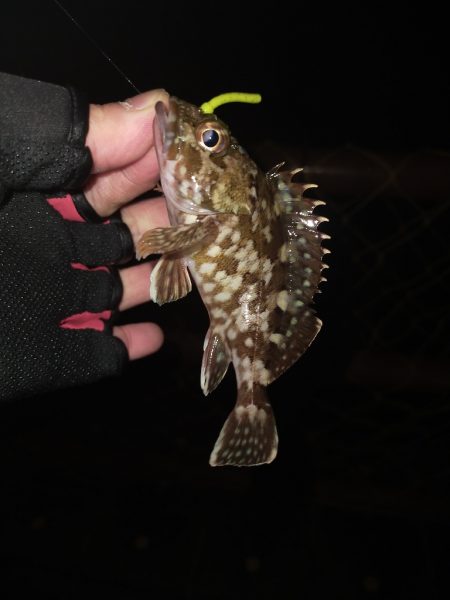 旅先でガシリング