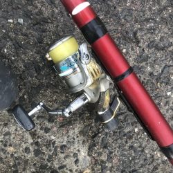 朝マズメのアジ釣り