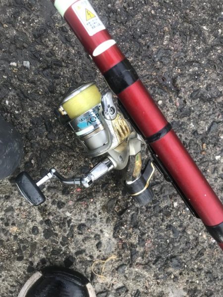 朝マズメのアジ釣り