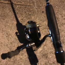 夕マズメのアジング絶好調