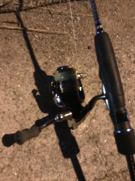 夕マズメのアジング絶好調