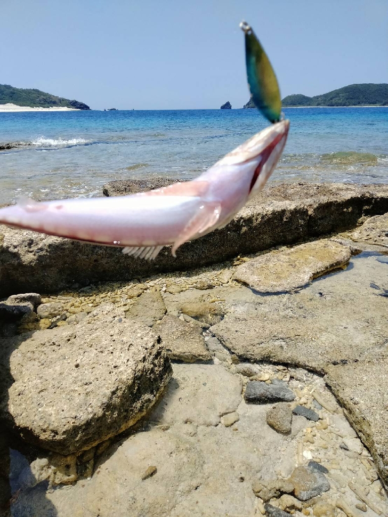 沖縄で釣り！