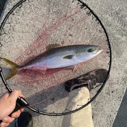 久しぶりの釣行