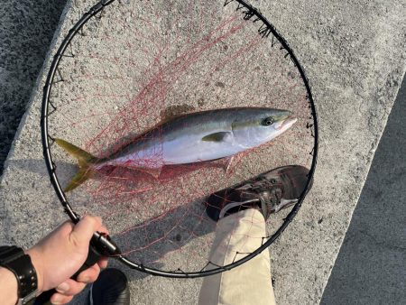 久しぶりの釣行
