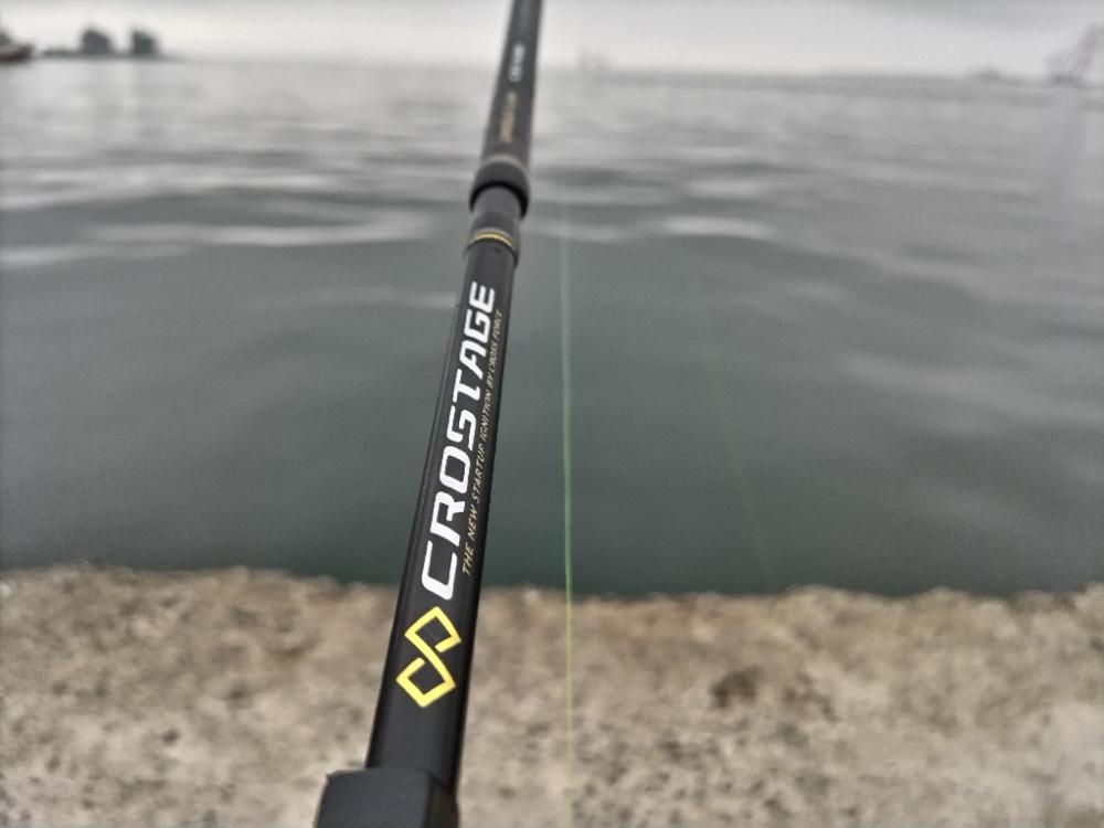 シーバス釣れました!