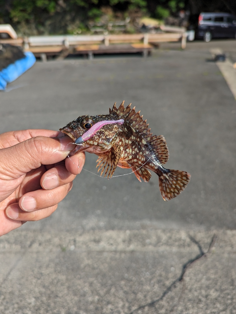 陸っぱり釣行記