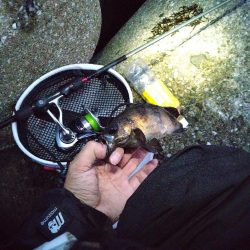 フロートメバリング