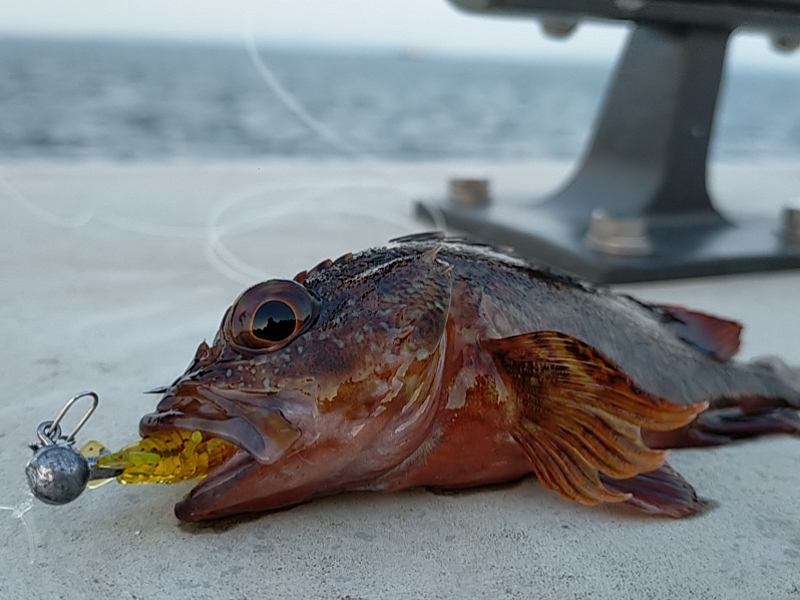 兵（つわもの）どもが夢の跡…