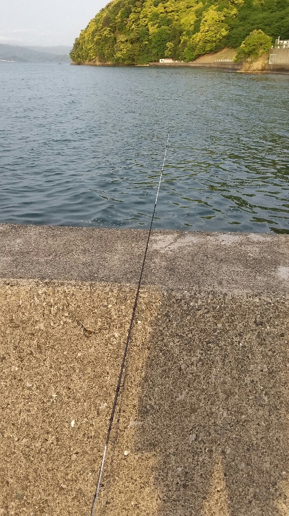 キス~ちょい投げ