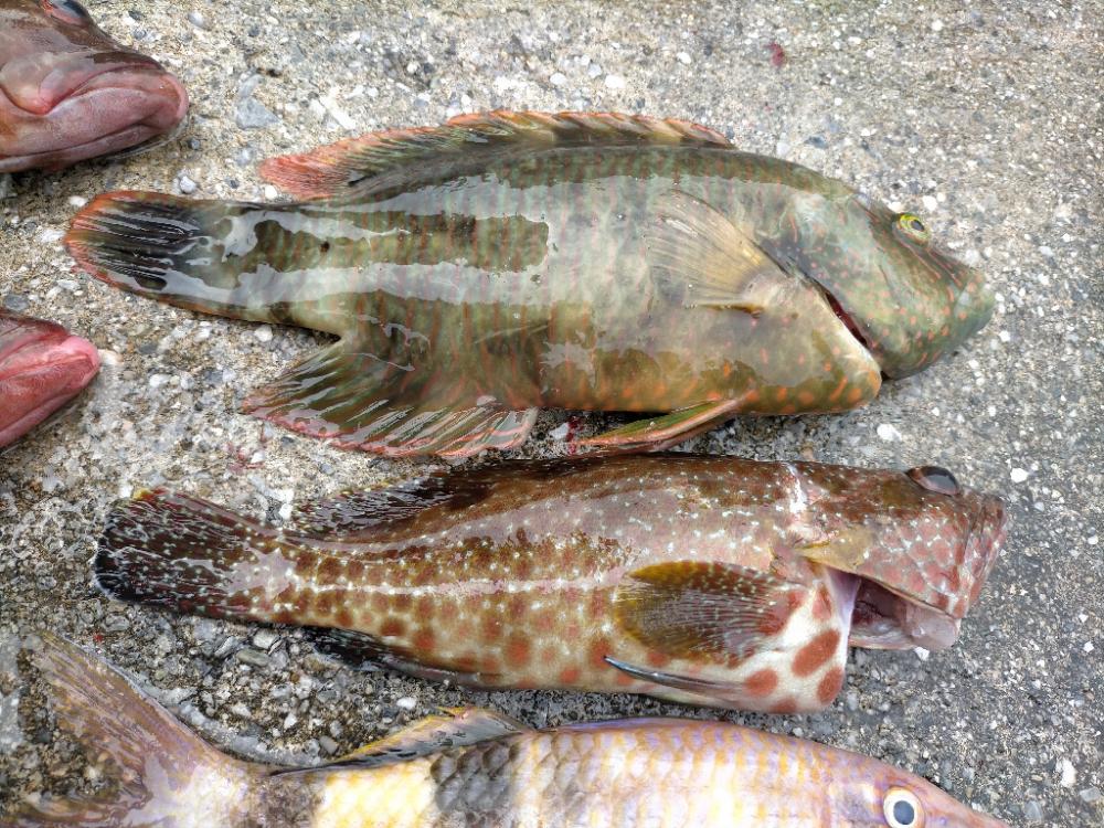 スプーンを投げまくる会