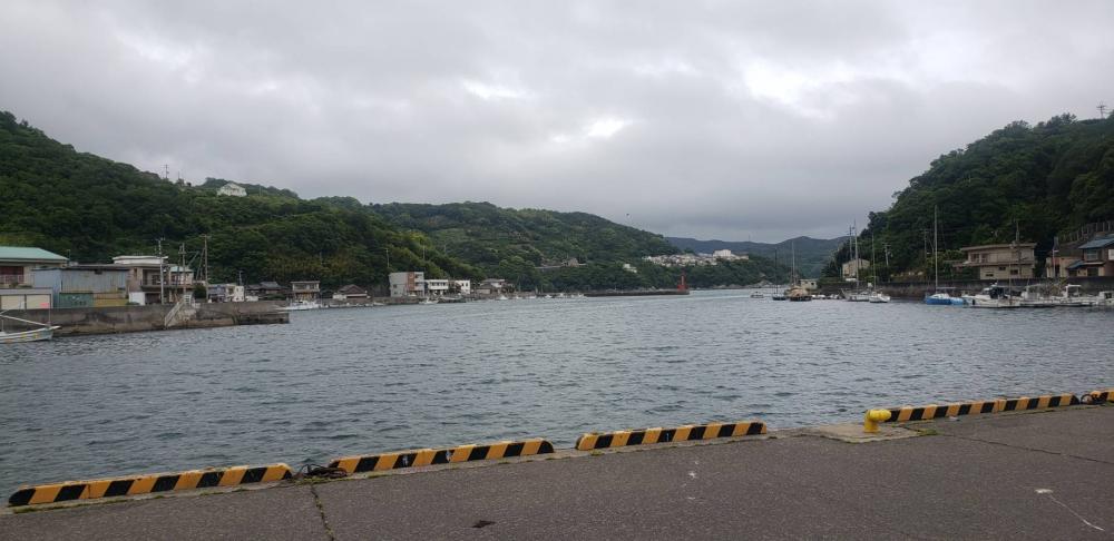 アジ調査@下津周辺