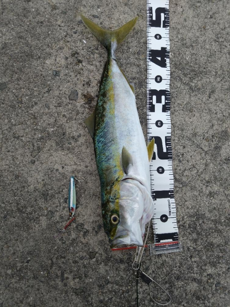 春シーズン終了間近？