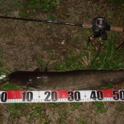 ポイントが絞り辛い