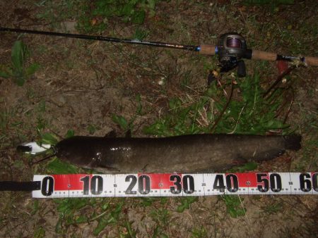 ポイントが絞り辛い