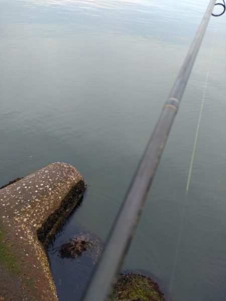 ヒラメ・フクラギ釣れました！