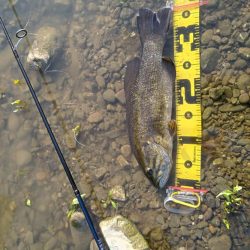 川バス狙い打ち