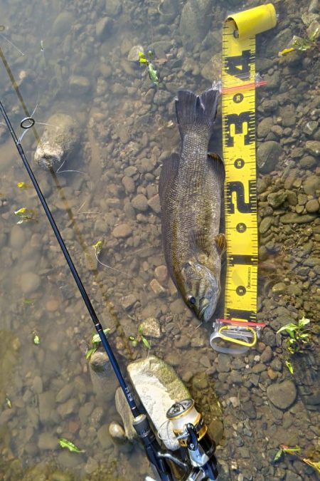 川バス狙い打ち