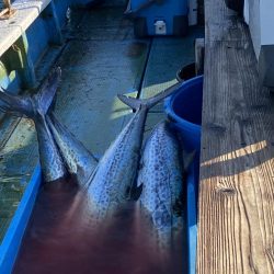 第３回神戸サワラキャスティング