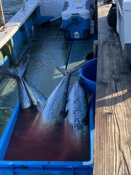 第３回神戸サワラキャスティング