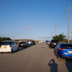 エソが釣れました