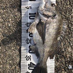 イチノ兄弟（兄）釣果！