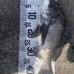 イチノ兄弟(兄)釣果!