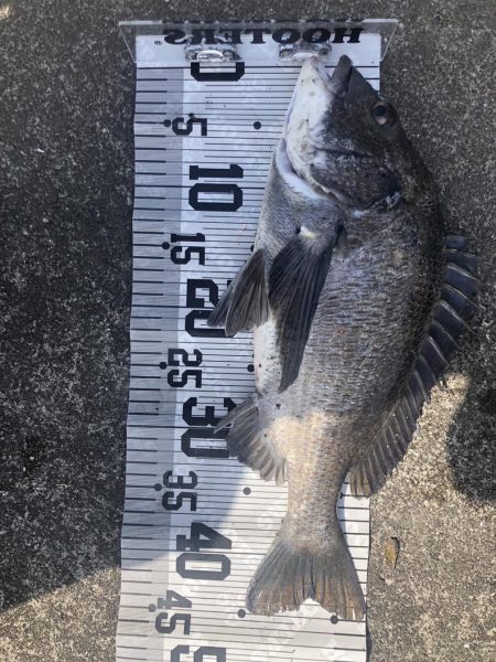 イチノ兄弟(兄)釣果!