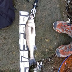 5月ようやく1匹