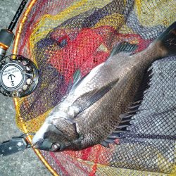 アジングロッド